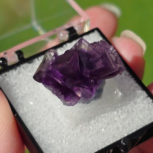 Purple Fluorite ✦ Raw Cube Crystal ✦ 16g Thumbnail Mineral Collector’s Piece - Picture 5 of 17